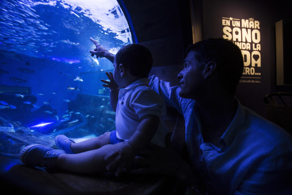 acuario de sevilla en verano