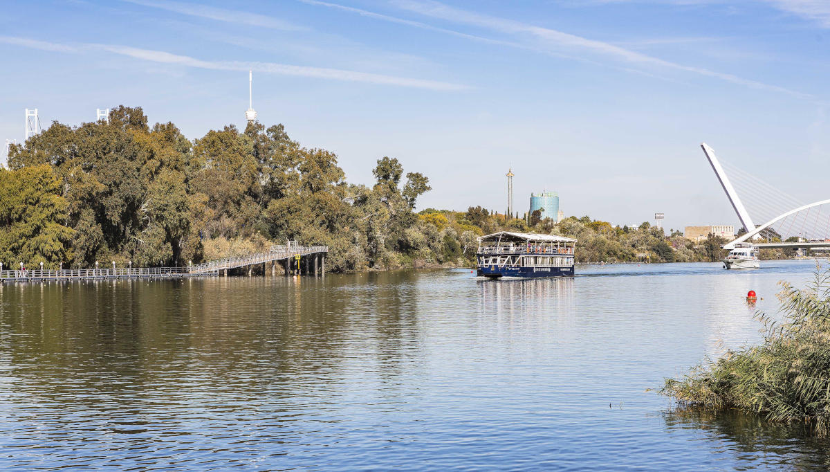 flora en el guadalquivir desde un barco