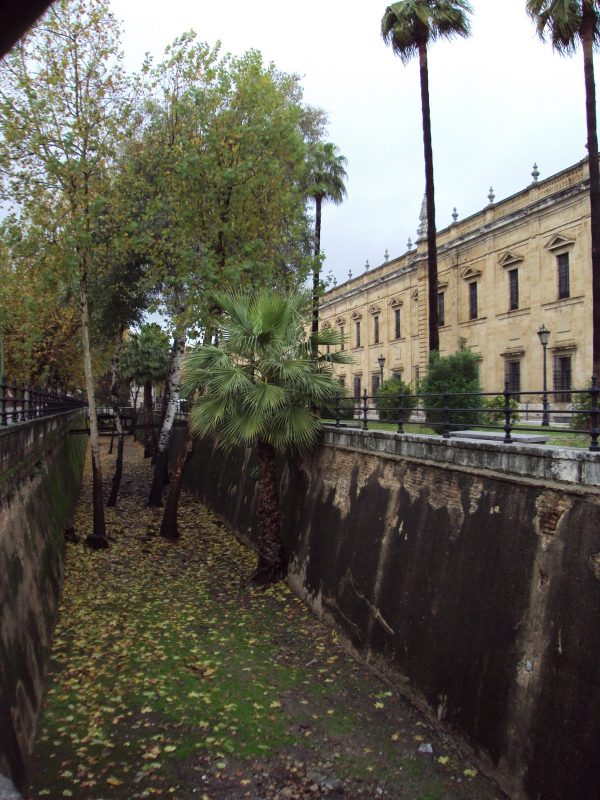 foso de la universidad de sevilla