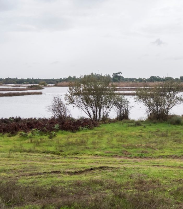 Paisaje de la ruta de Sanlúcar de Barrameda