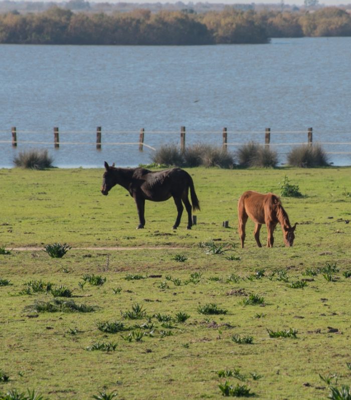 Ruta a Sanlúcar de Barrameda