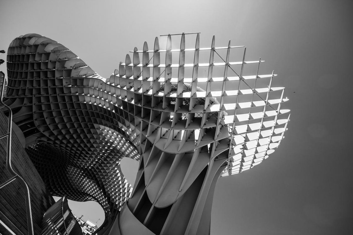 imagen en blanco y negro de las setas de sevilla